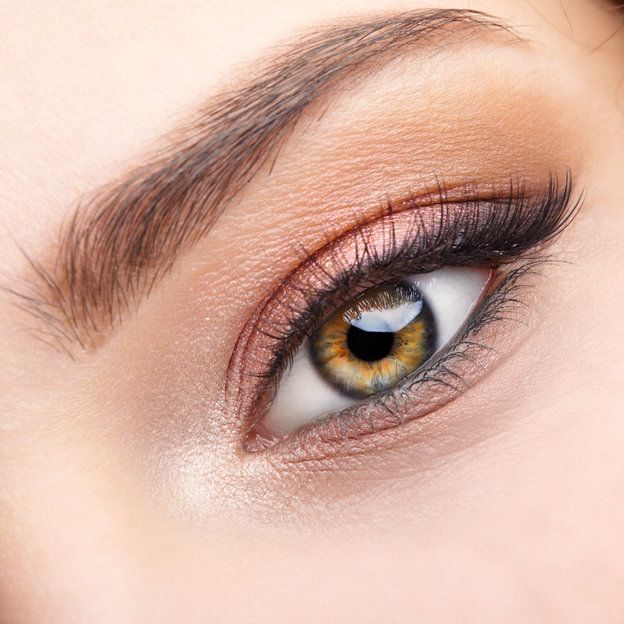 cejas